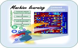 Automated discovery of novel thin film functionalities 
